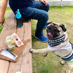 ドックラン