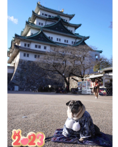 名古屋城