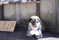 お正月