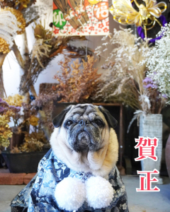お正月