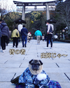 お正月