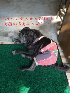 あんこ