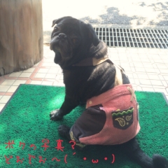 あんこ