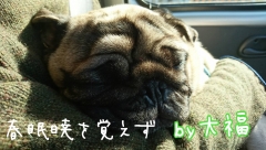 オネム
