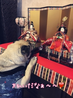 ひな人形