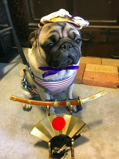 武将