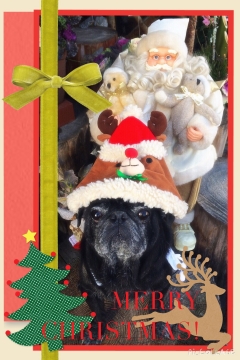 クリスマス