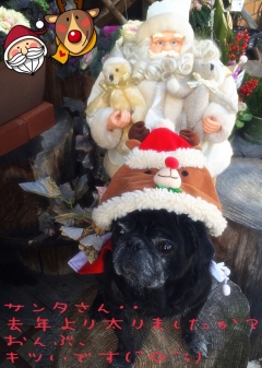 サンタ