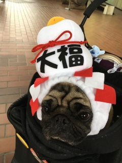 大福餅