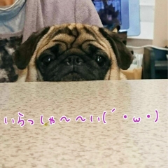 大福
