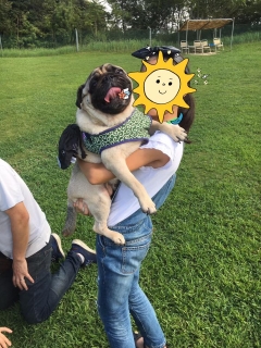 大福