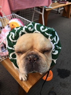 もなかちゃん