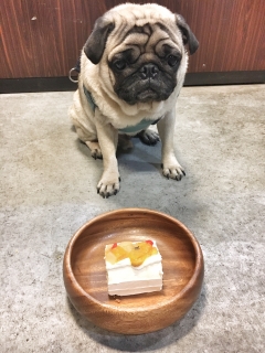 誕生日