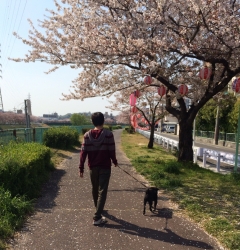 散歩