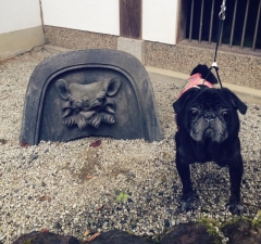 あんこと鬼瓦