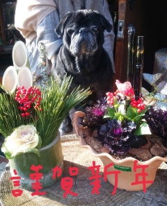 あんこのご挨拶