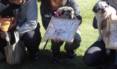 ご長寿さん