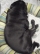 あんこ