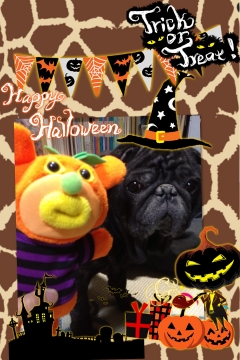 ハロウィン