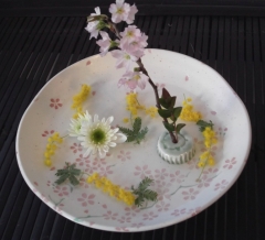 桜