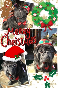 クリスマス